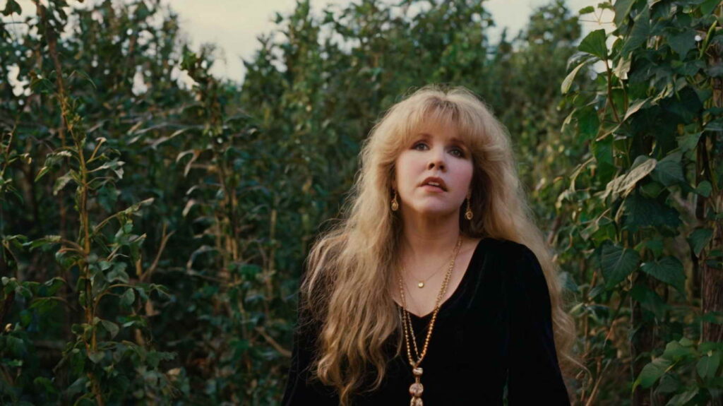 Stevie Nicks Fall From Grace Lyrics